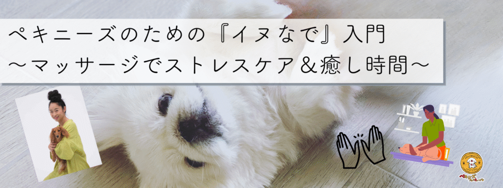 ペキニーズのための『イヌなで』入門　〜マッサージでストレスケア＆癒し時間〜