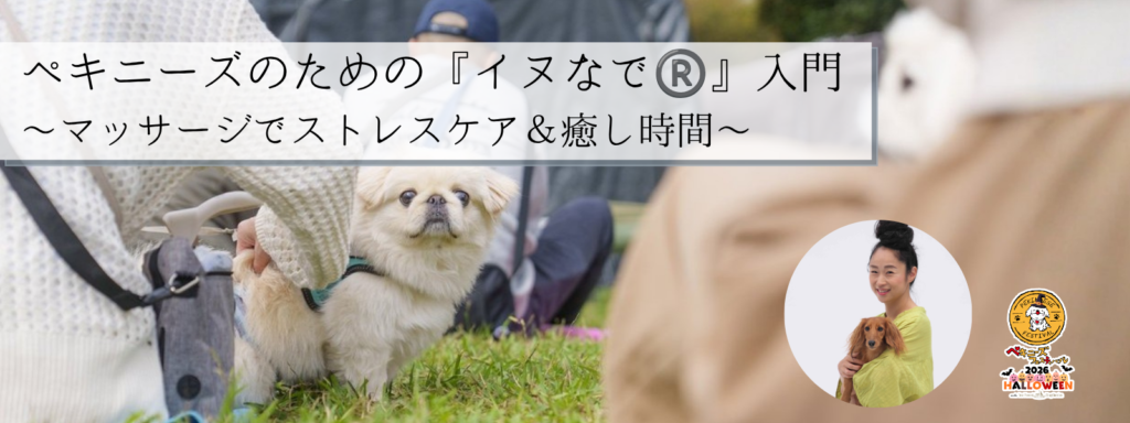 ペキニーズのための『イヌなで®︎』入門　〜マッサージでストレスケア＆癒し時間〜