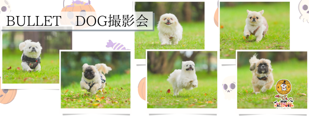 BULLET DOG撮影会
