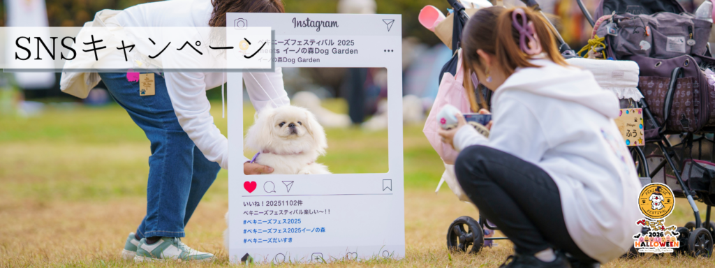 SNSキャンペーン