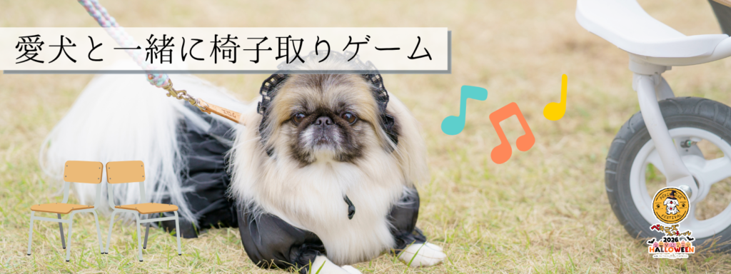 愛犬と一緒に椅子取りゲーム